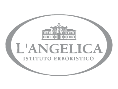 Logo Angelica