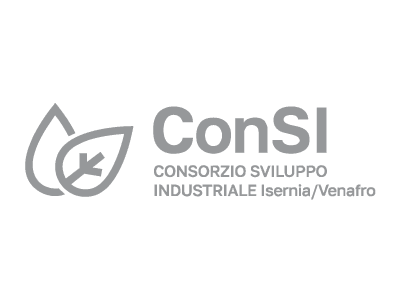 Logo Consi